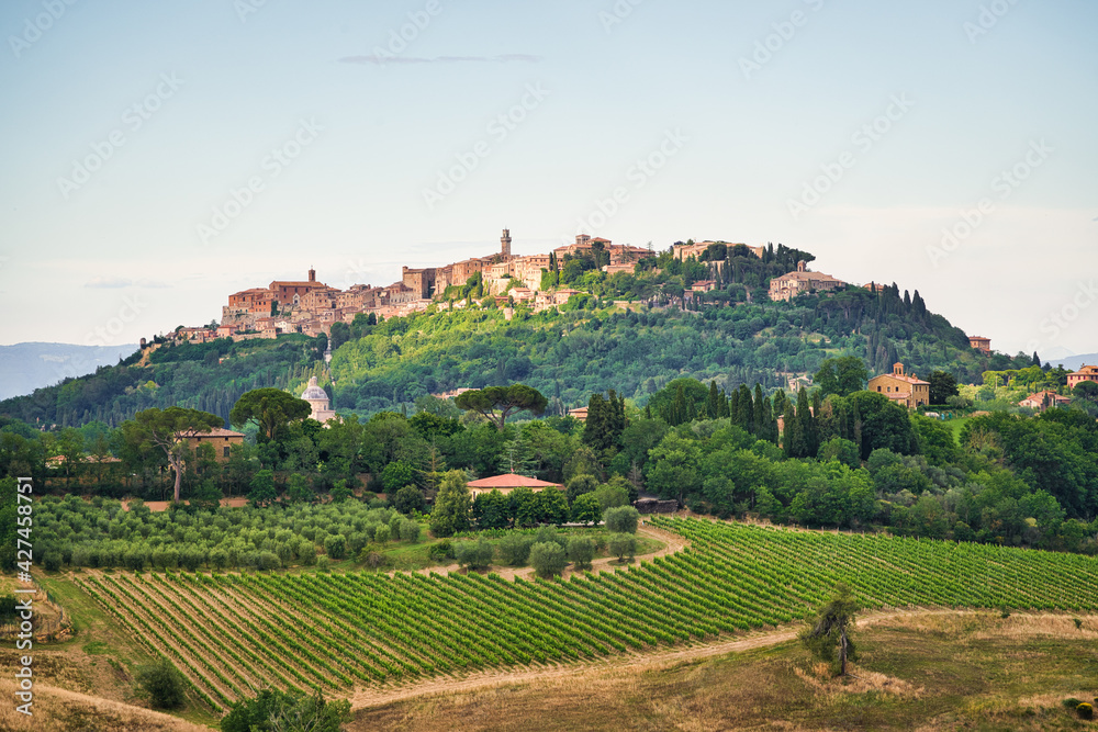 Montepulciano, Val d'Orcia, Siena, Tuscany, Italy