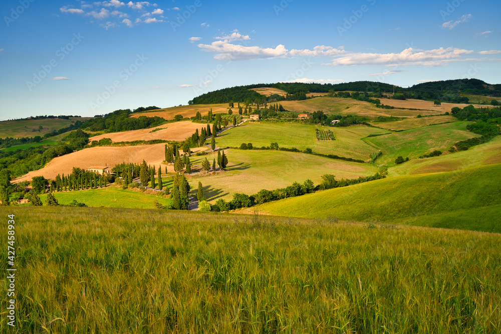 Fototapeta premium Val d'Orcia, Siena, Tuscany, Italy