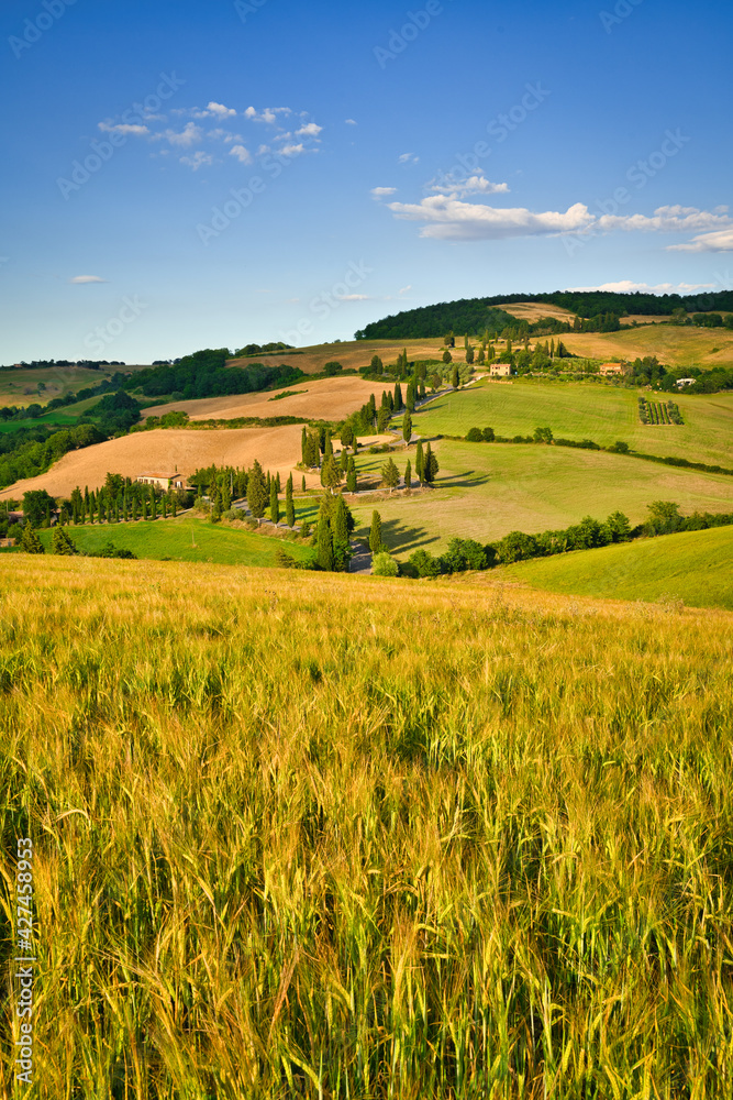 Val d'Orcia, Siena, Tuscany, Italy Val d'Orcia, Siena, Tuscany, Italy