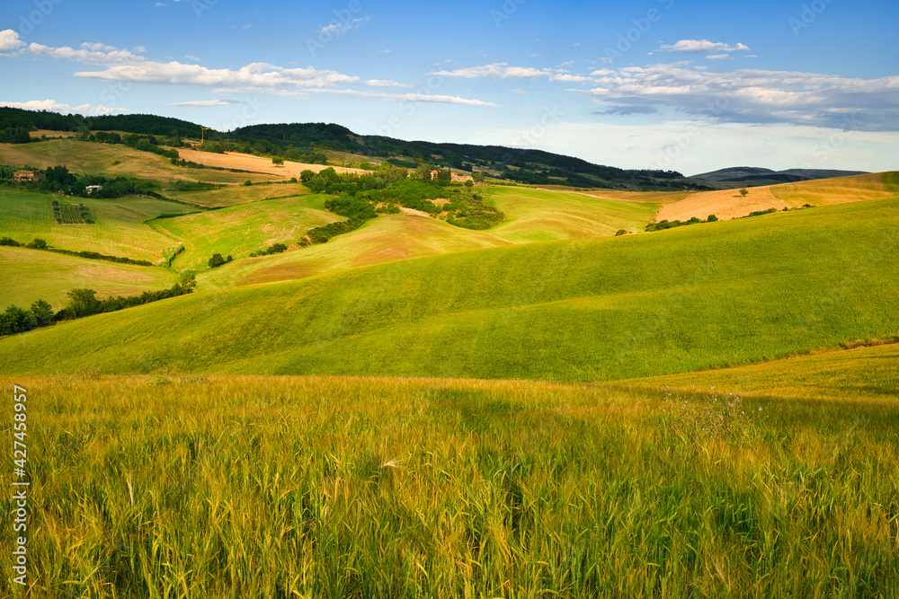 Obraz premium Val d'Orcia, Siena, Tuscany, Italy