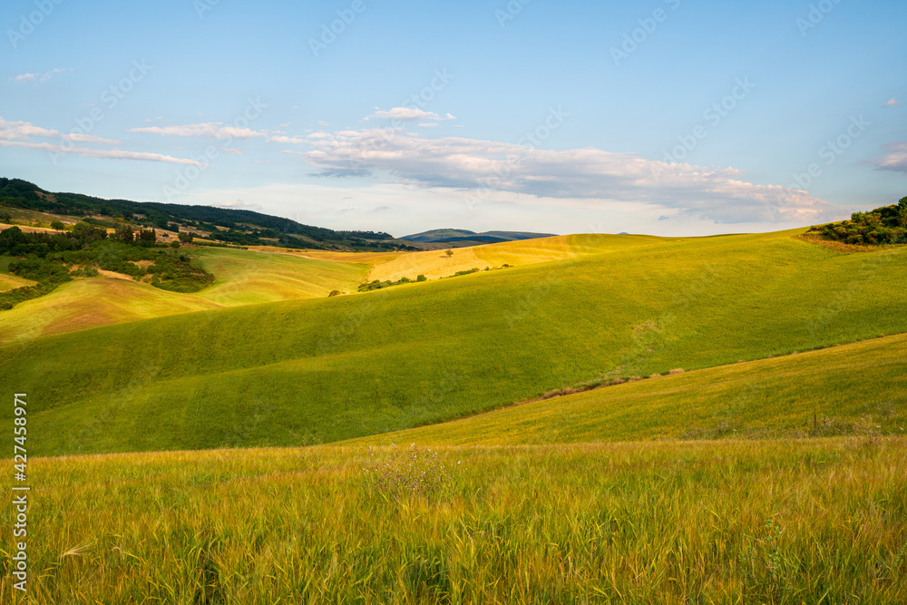 Fototapeta premium Val d'Orcia, Siena, Tuscany, Italy