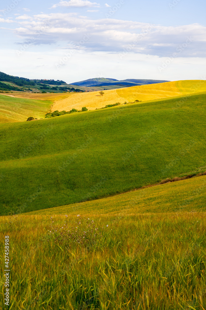 Fototapeta premium Val d'Orcia, Siena, Tuscany, Italy