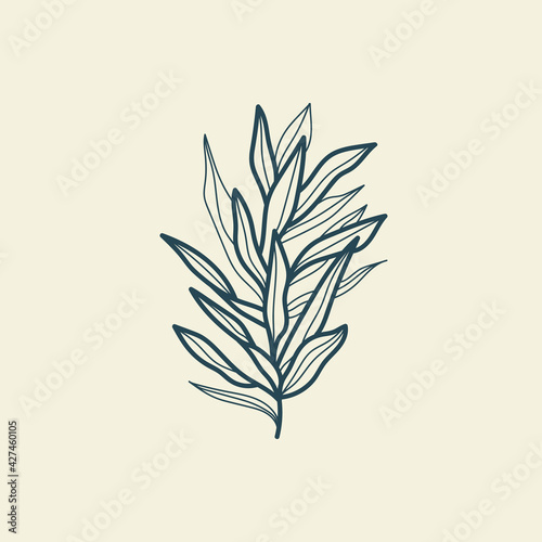 Tropical leaves icon outline drawing. Minimal floral vintage style. Doodle plant vector illustration. Pure nature organic brush. Line drawing. Botanical floral badge. Eco product emblem.