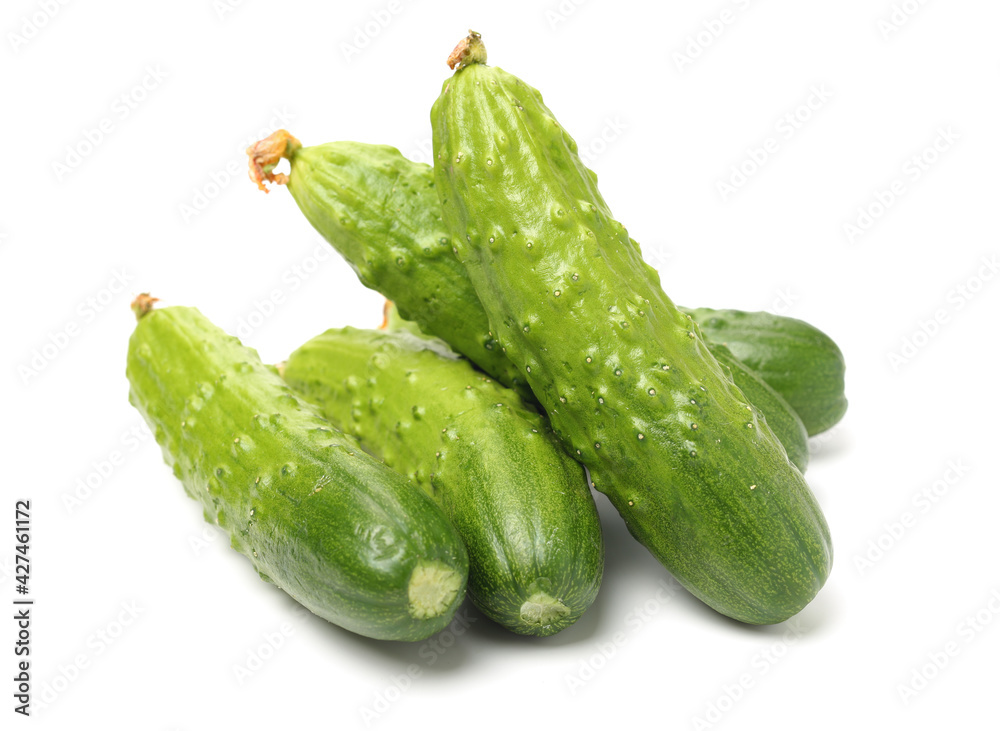 Green cucumber on the white background Green cucumber on the white background