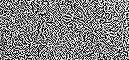 Turing Pattern Background  photo