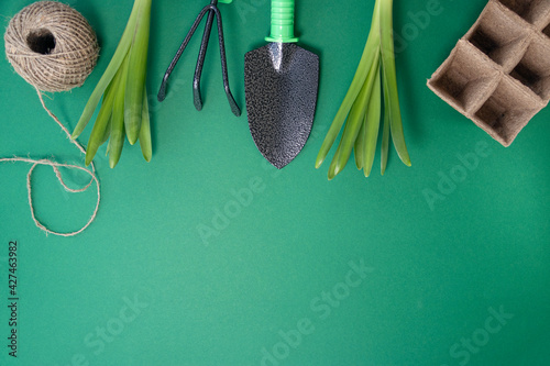 shovel, green seedlings, peat pots are intended for growing seedlings and scourges on a green background. backyard vegetable garden planting concept with copy space. Soft focus. photo