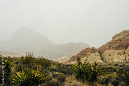 Photography Rocky desert landscape, Red Rock Canyon National Recreation Area, Las Vegas, Nev