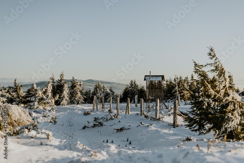 Landscape with a fence and snow covered trees in the mountains  © Kinga