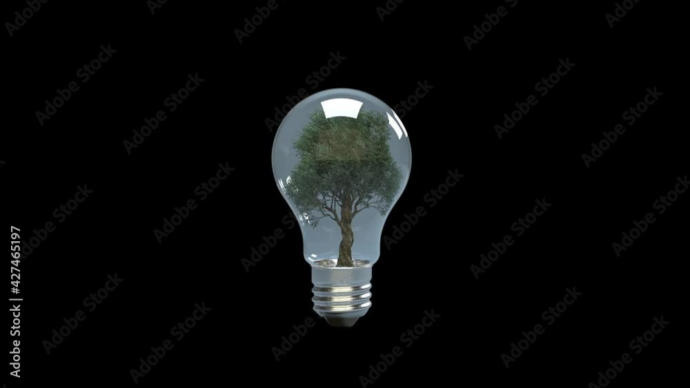 3D Animation Of A Timelapse Growing Tree Inside Traditional Light Bulb, Black Background 3D Animation Of A Timelapse Growing Tree Inside Traditional Light Bulb, Black Background