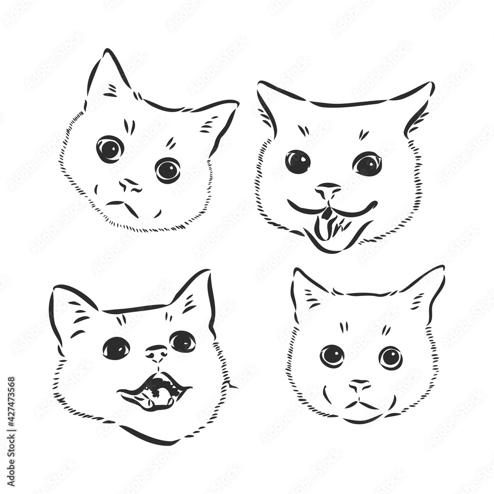 Fototapeta premium cat head black and white. portrait of a cat, vector sketch on a white background
