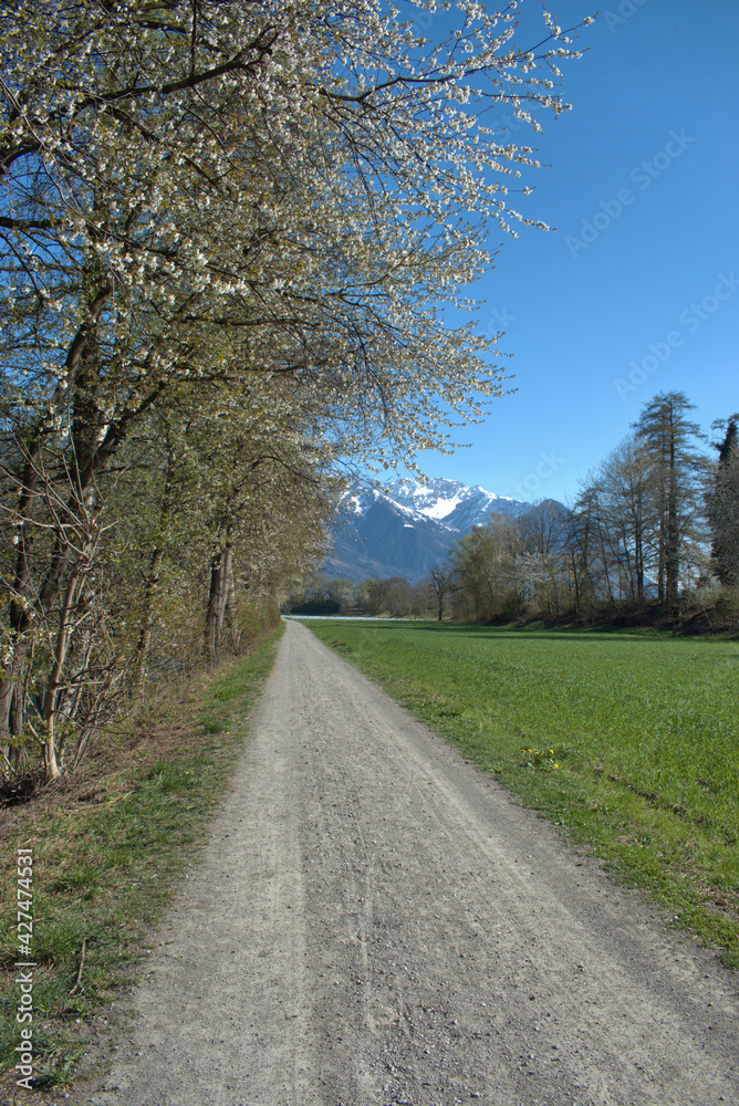 Spring time in Vaduz in Liechtenstein 4.4.2021