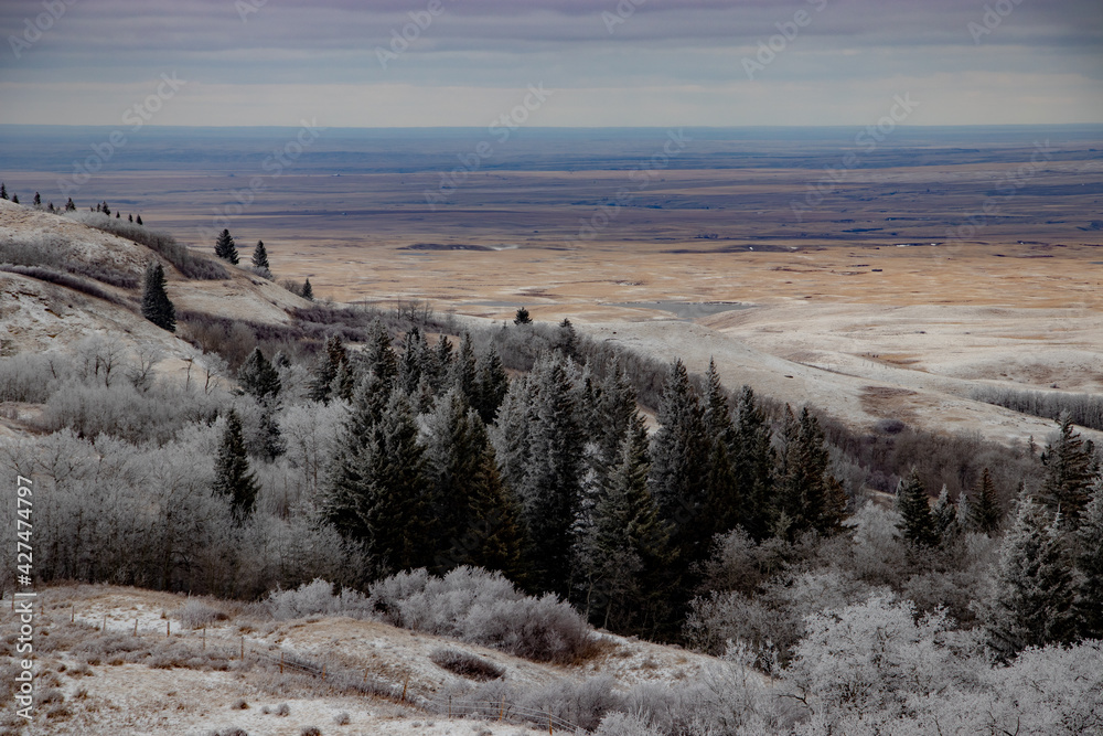 Scenic view of frost covered trees in the hills overlooking the prairies