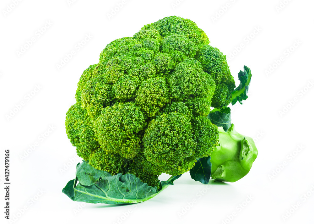 Large raw fresh head of broccoli cabbage on white background, healthy vegetarian food, isolated, close-up Large raw fresh head of broccoli cabbage on white background, healthy vegetarian food, isolated, close-up