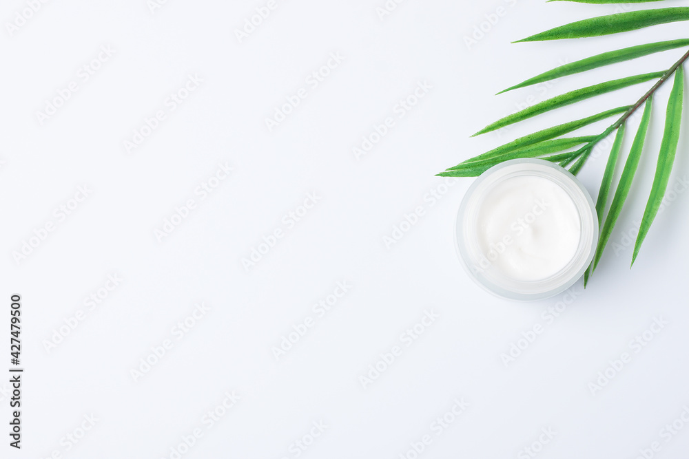 Jar of cosmetic cream with leaf palm branch on white background. Flat lay, copy space Jar of cosmetic cream with leaf palm branch on white background. Flat lay, copy space