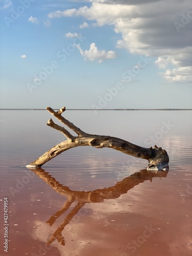 озеро Сасык-Сиваш, Евпатория, Крым. Розовое озеро. Соленое озеро