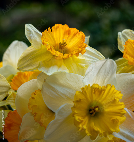 Close up of Spring Time Bouquet