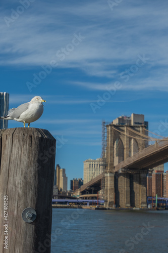 Wallpaper Mural newyork city, usa Torontodigital.ca