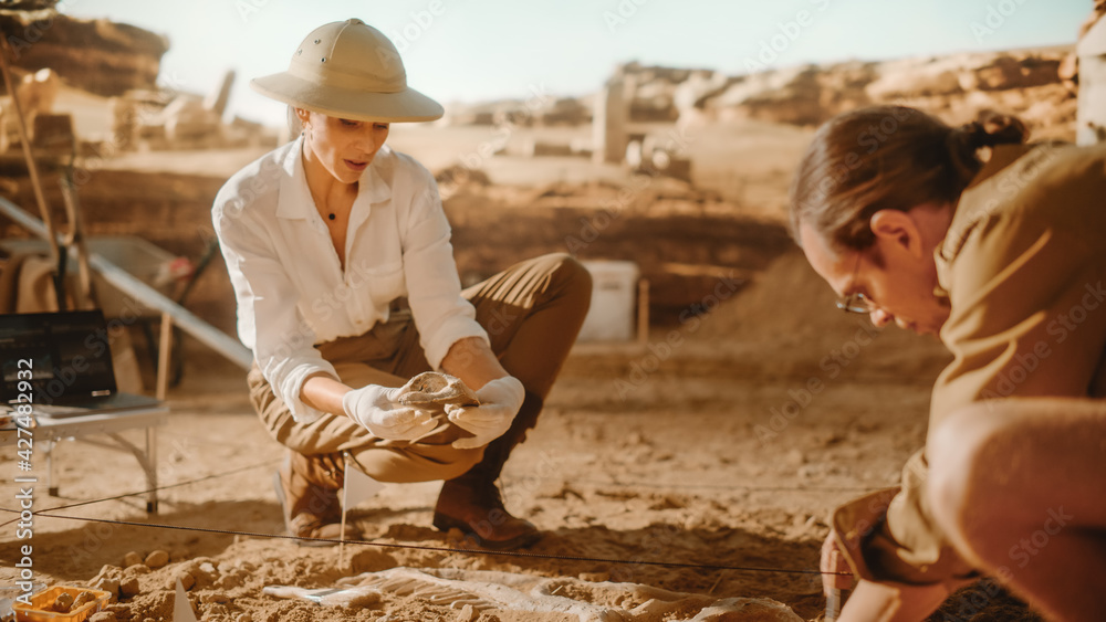 Naklejka premium Archaeological Digging Site: Two Great Paleontologists Cleaning Newly Discovered of Dinosaur. Archeologists on Excavation Site Discover Fossil Remains of New Species Skeleton. Close-up Focus on Hands