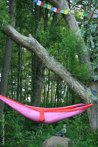 person in a hammock on a tree
