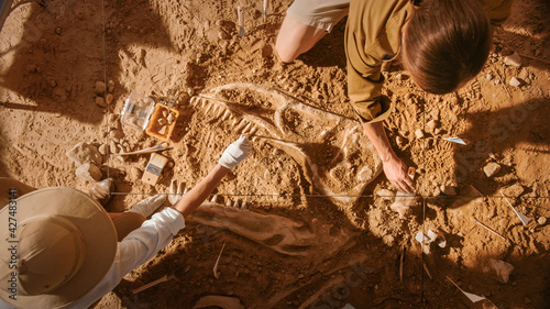 Top-Down View: Two Great Paleontologists Cleaning Newly Discovered Dinosaur Skeleton. Archeologists Discover Fossil Remains of New Species. Archeological Excavation Digging Site. photo