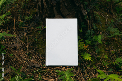 book with blank cover and empty cover perched in a forest