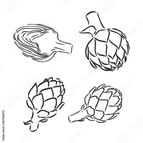 vector set of engraving illustration green vegetables artichoke on white background