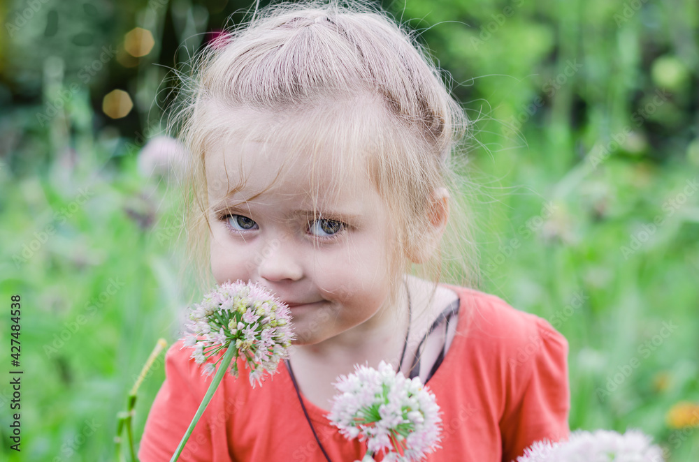 Blonde, little girl sniffs onion blossoms in the garden. Selective focus