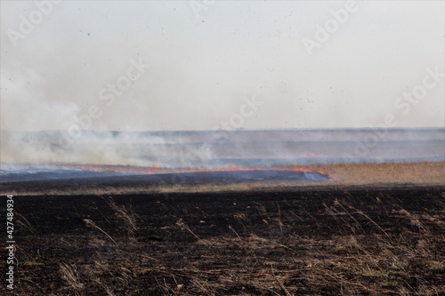 Wallpaper Mural Pasture burning in early spring to get new grass growing in Flint Hills Torontodigital.ca