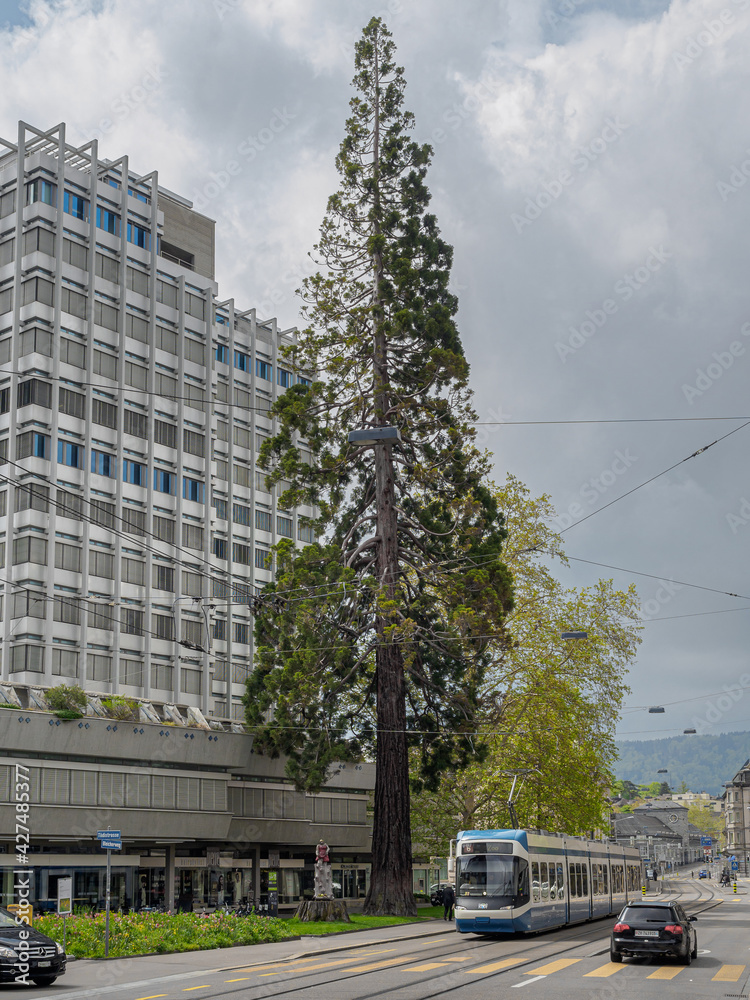 Switzerland, Zurich - November, 2020 - Lonely tree and blue tram
