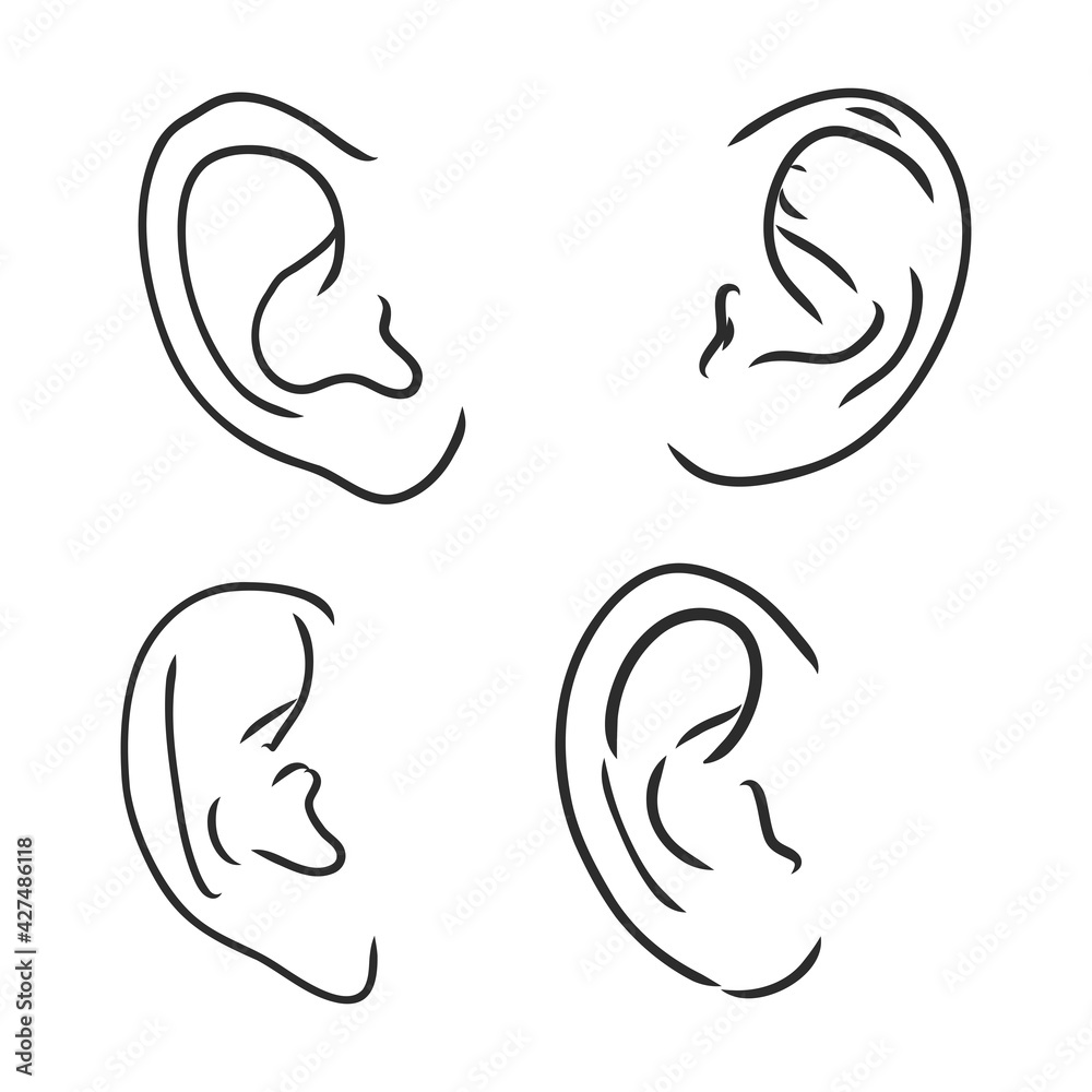 Drawing human ear. ear vector sketch on a white background Drawing human ear. ear vector sketch on a white background