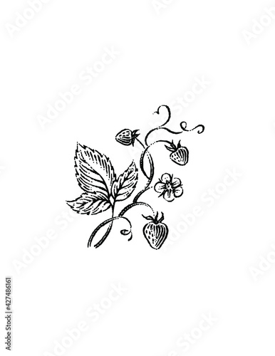 design element botanical