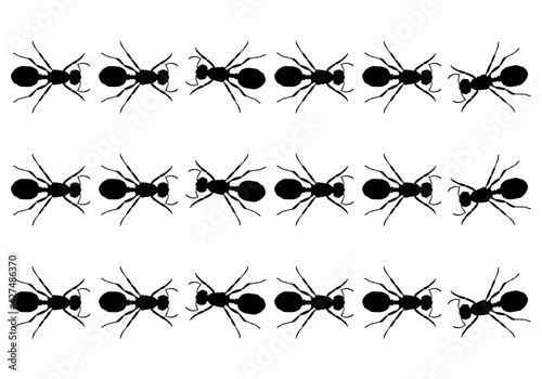 A line of worker ants marching in search of food.black and whitebackground and texture.Vector banner