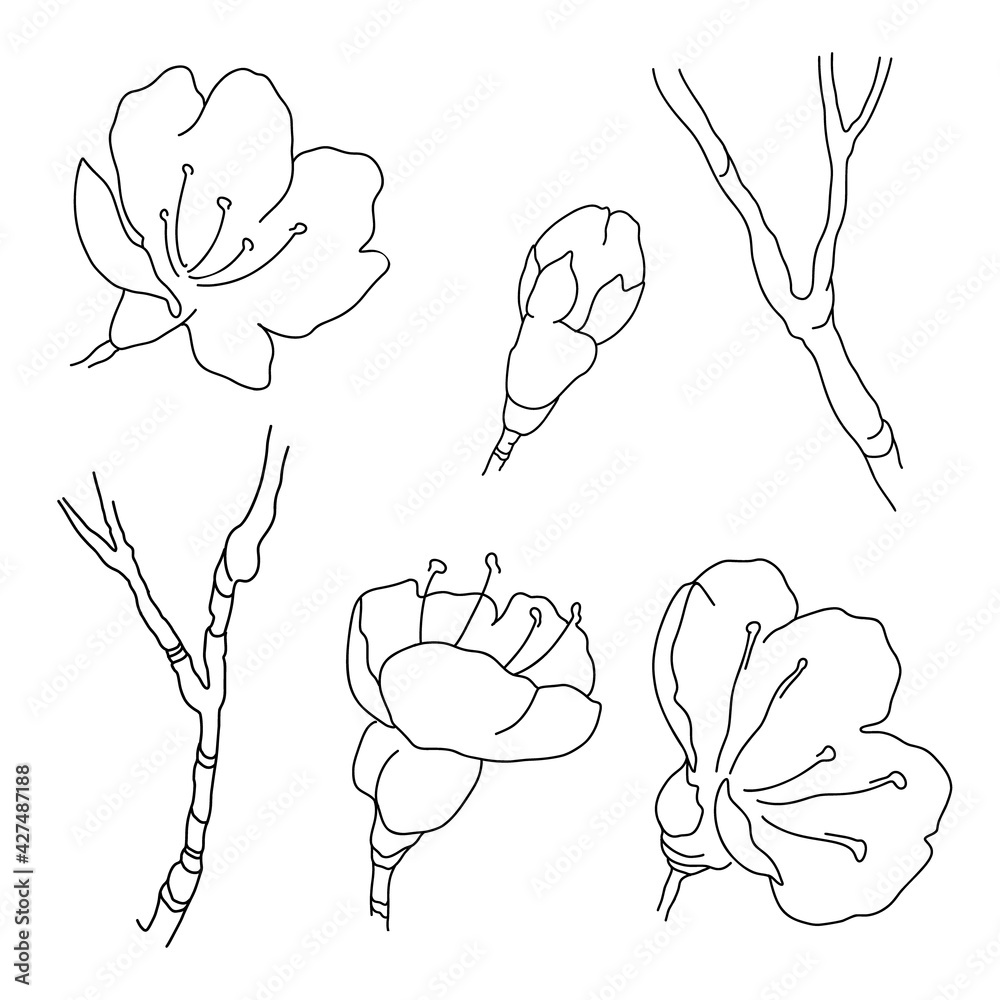 Set trendy hand drawn minimalistic blooming flowers and branches. Perfect for wedding invitations, cards, blogs. Abstract modern vector in line art style isolated on white background