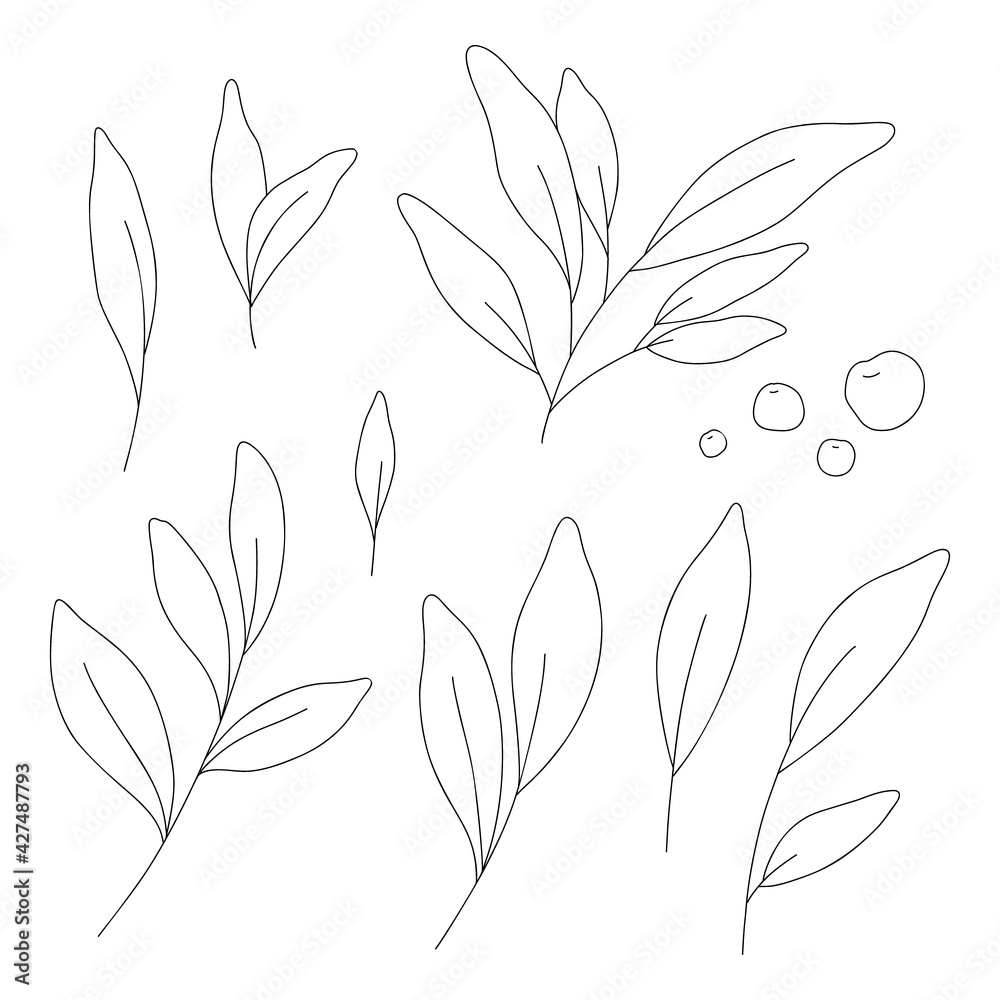 Set trendy hand drawn minimalistic plant elements. Icon with branch and leaves. Boho floral for logo design. Perfect for wedding invitations, cards, blogs. Abstract modern vector in line art style Set trendy hand drawn minimalistic plant elements. Icon with branch and leaves. Boho floral for logo design. Perfect for wedding invitations, cards, blogs. Abstract modern vector in line art style