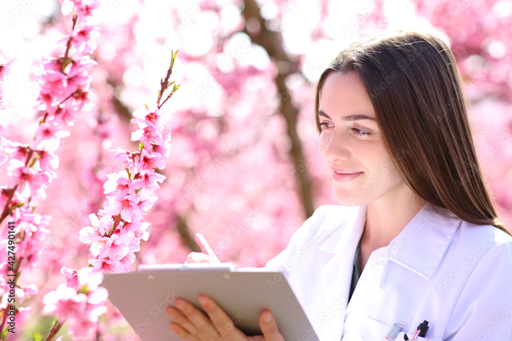 Biologist checking flowers in springtime in a field