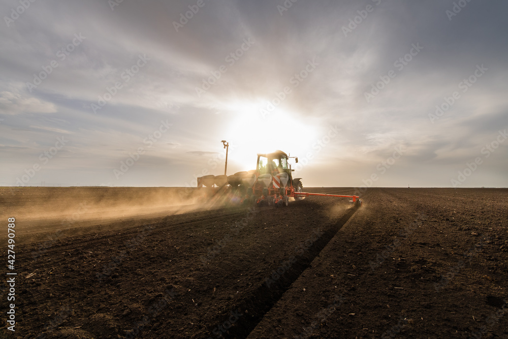 Fototapeta premium Farmer with tractor seeding