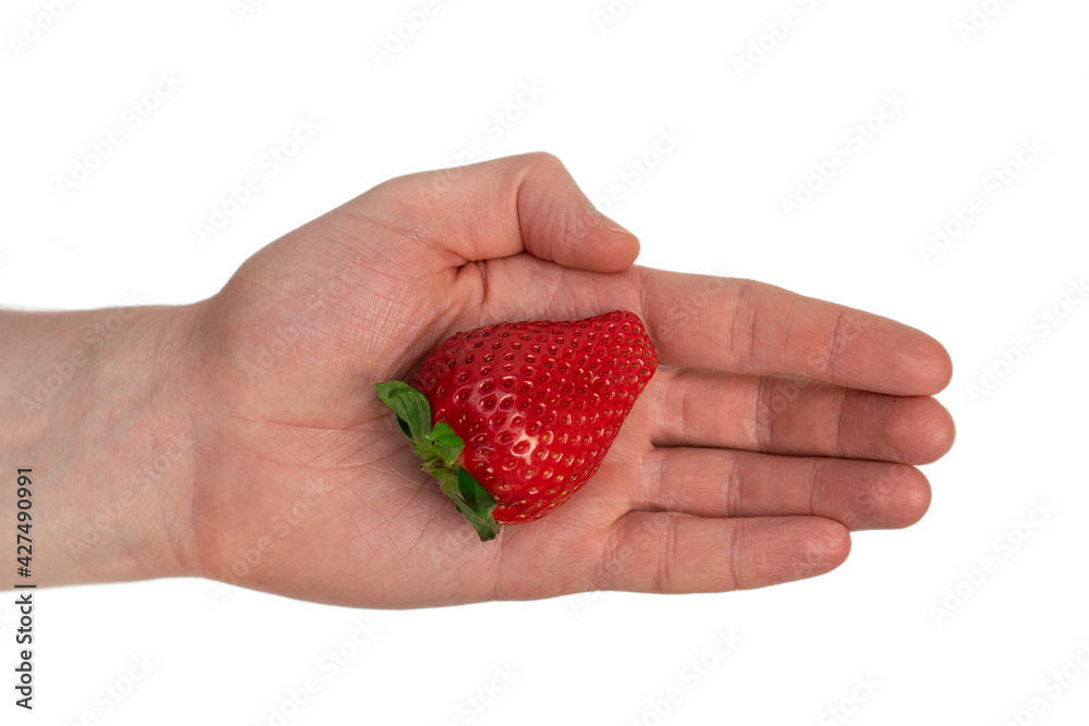 Organic strawberry in male hand isolated on white Organic strawberry in male hand isolated on white