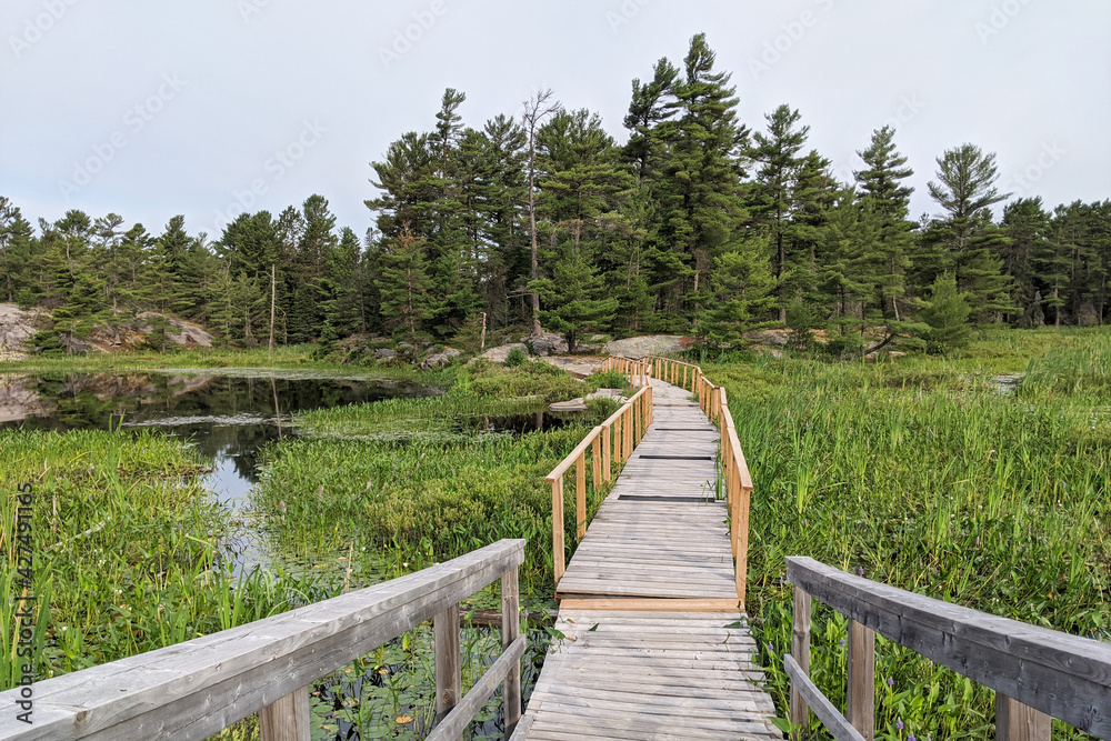 Wooden boardwalk going trough the swamp and marsh leading to the rocky shore and coniferous forest. Grundy Provincial Park, Northern Ontario, Canada. Hiking, camping, adventure concept.