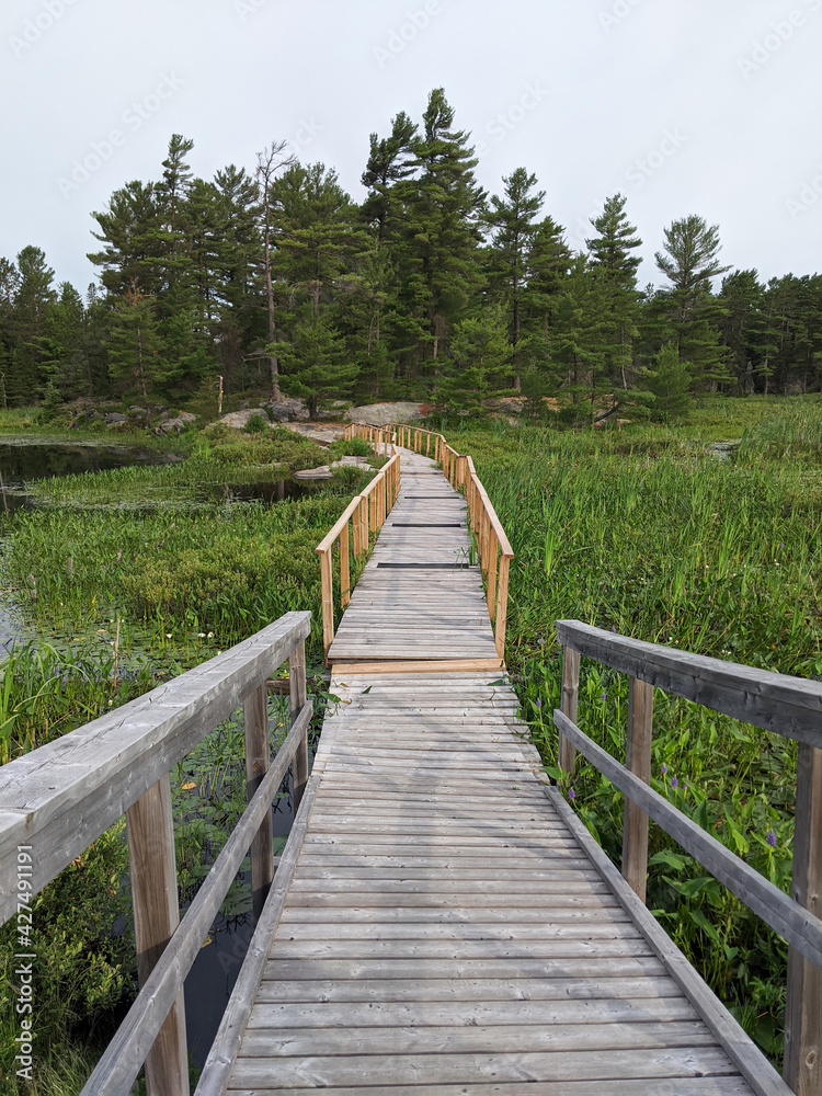 Wooden boardwalk going trough the swamp and marsh leading to the rocky shore and coniferous forest. Grundy Provincial Park, Northern Ontario, Canada. Hiking, camping, adventure concept.