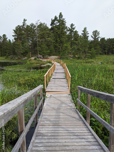 Wooden boardwalk going trough the swamp and marsh leading to the rocky shore and coniferous forest. Grundy Provincial Park  Northern Ontario  Canada. Hiking  camping  adventure concept.