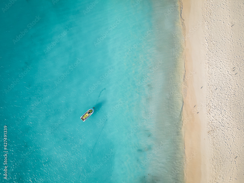 Eagle Beach Aruba, Palm Trees on the shoreline of Eagle Beach in Aruba