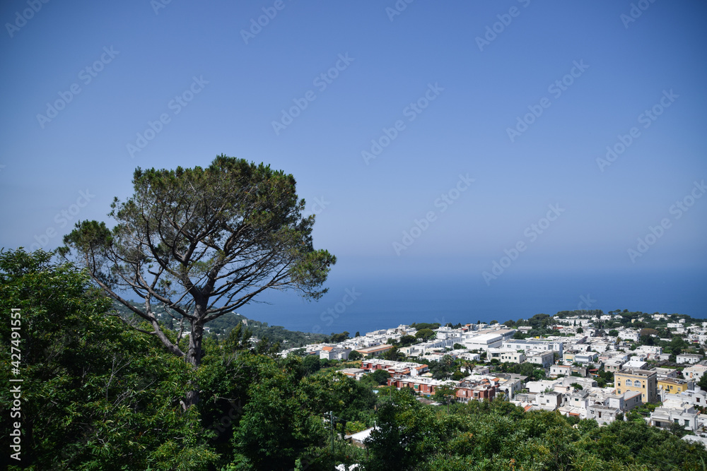 Beautiful view to tree, city and Mediterranean in Capri island, Italy 