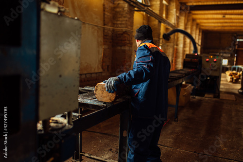 wooden board on the conveyor. people work on an automated sawmill. industrial enterprise for wood processing. a worker carries a board for sawing