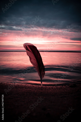 Vertical conceptual dreamy photography of a stuck in the seashore san single duck feather against pink horizon over calm water at calm sunset