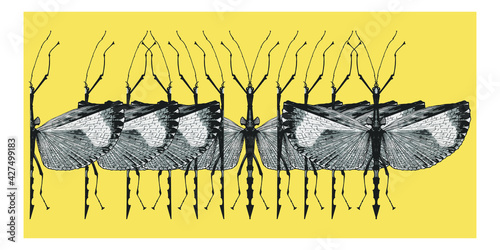 Pattern with geometric winged insects as praying mantis, stick insect and dragonfly on yellow. Repeating entomology background with bugs and beetles for design prints, textiles and fabric.