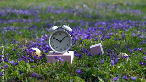 White classic alarm clock with bells on meadow with purple flowers