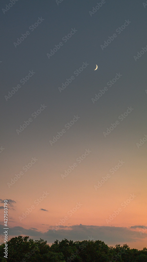 The Moon on the sunset sky over the field The Moon on the sunset sky over the field