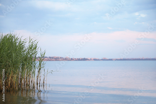Picturesque view of beautiful river beach with reeds