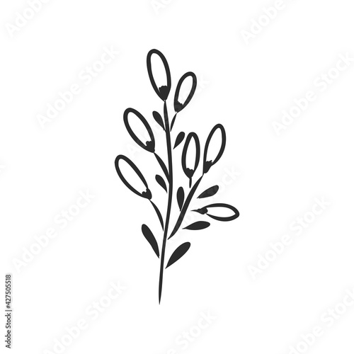 Ink  pencil  the leaves and flowers of Magnolia isolated. Line art transparent background. Hand drawn nature painting. Freehand sketching illustration.