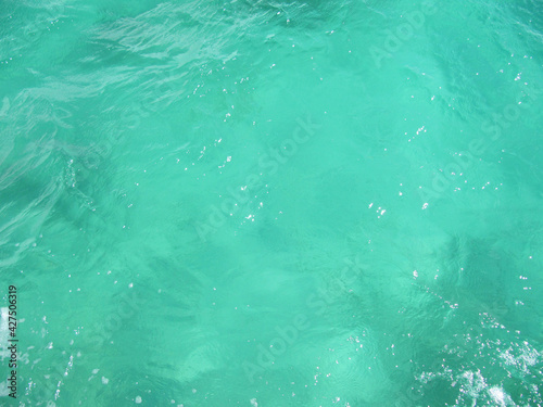 Clear waters in the emerald greens of Moreton Island  Brisbane  Queensland  Australia